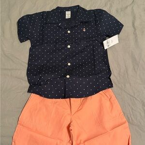 Carter's Navy and White Dot Button-Down Shirt